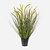FloraWorks Kunstplant Cattail gras (70 cm)