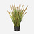 FloraWorks Kunstplant Pennisetum gras (99 cm)