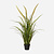 FloraWorks Kunstplant Foxtail gras (90 cm)