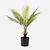 FloraWorks Kunstplant Chamaedorea Palm (50 cm)
