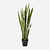FloraWorks Kunstplant Sanseveria (120 cm)