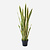 FloraWorks Kunstplant Sanseveria groengeel (120 cm)