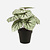 FloraWorks Kunstplant Begonia groengrijs (25 cm)