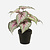 FloraWorks Kunstplant Begonia groenroze (25 cm)