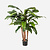 FloraWorks Kunstplant Cordyline (90 cm)