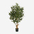 FloraWorks Kunstplant Olijfboom (120 cm)