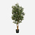 FloraWorks Kunstplant Olijfboom (150 cm)