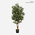 FloraWorks Kunstplant Olijfboom (180 cm)