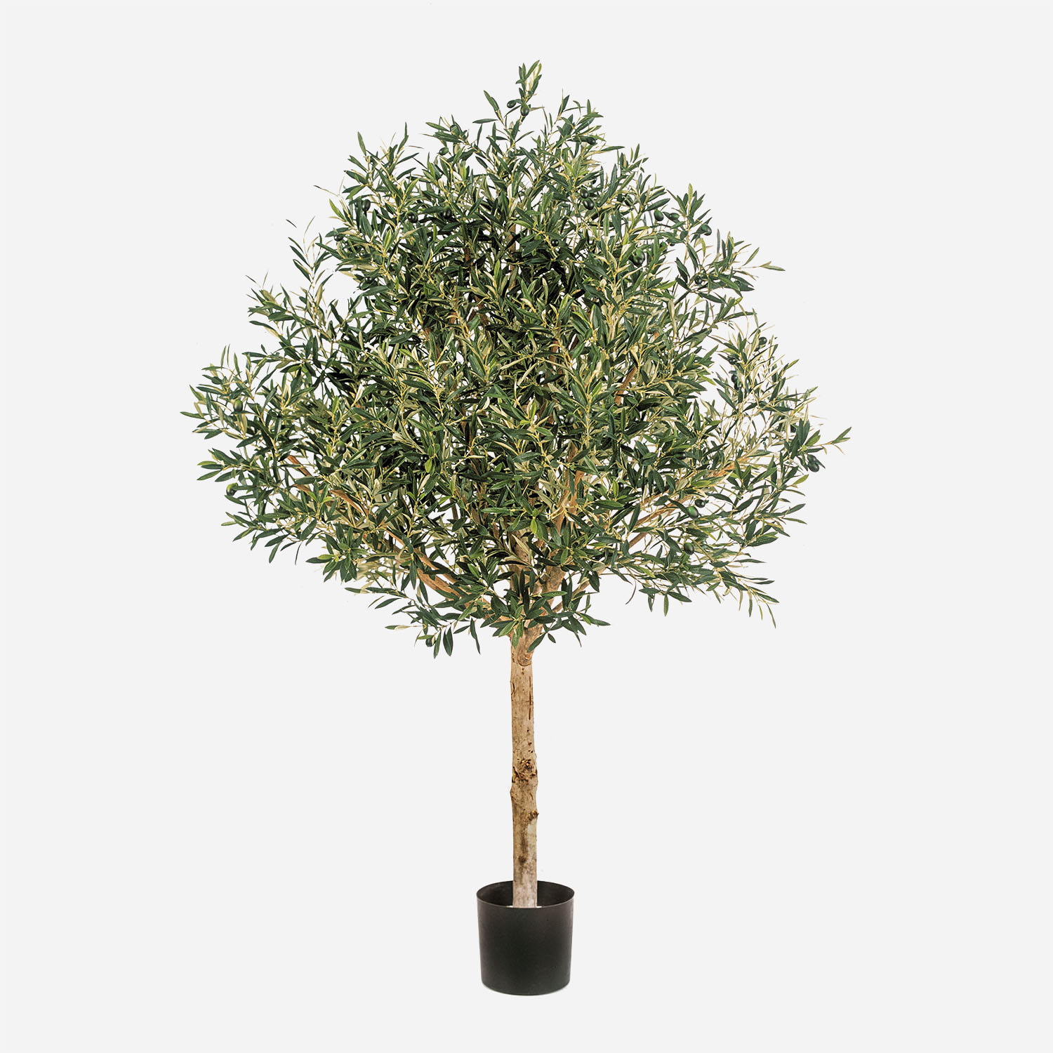 VeriNatural 180 cm grote nep olijfboom, 1 stuk