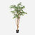 FloraWorks Kunstplant Esdoorn (180 cm)