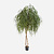 FloraWorks Kunstplant Wilg (240 cm)