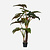 FloraWorks Kunstplant Alocasia (220 cm)