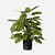 FloraWorks Kunstplant Calathea (78 cm)