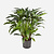 FloraWorks Kunstplant Calathea (86 cm)