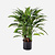 FloraWorks Kunstplant Calathea Insigne (88 cm)