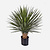 FloraWorks Kunstplant Yucca (80 cm)