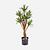 FloraWorks Kunstplant Agave (70 cm)