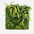 FloraWorks Living Wall met kunstgroen (100 x 100 cm)