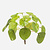 FloraWorks Kunstplant steker Mini Pilea (13 cm)