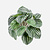 FloraWorks Kunstplant steker Peperomia (25 cm)