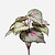 FloraWorks Kunstplant steker Begonia groenroze (25 cm)