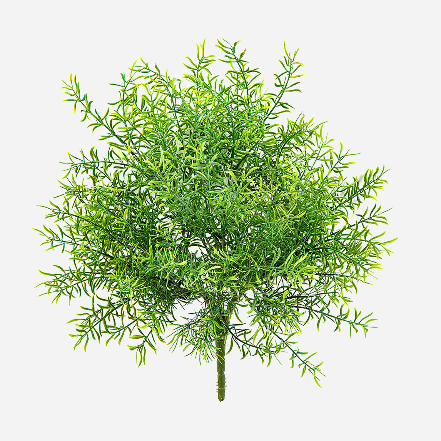 FloraWorks Kunstplant steker Asparagus UV (38 cm)