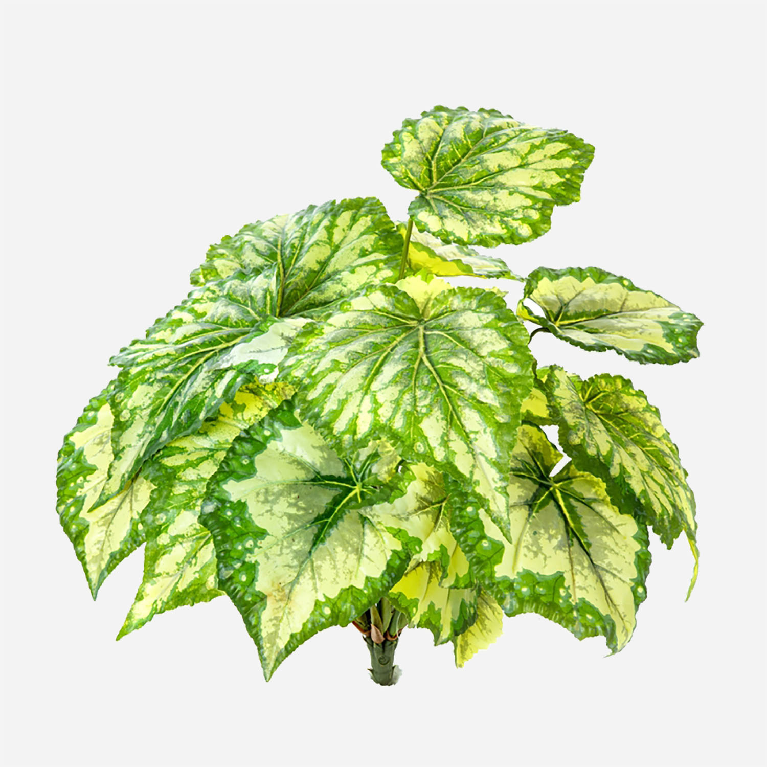 FloraWorks Kunstplant steker Begonia groenwit (34 cm)