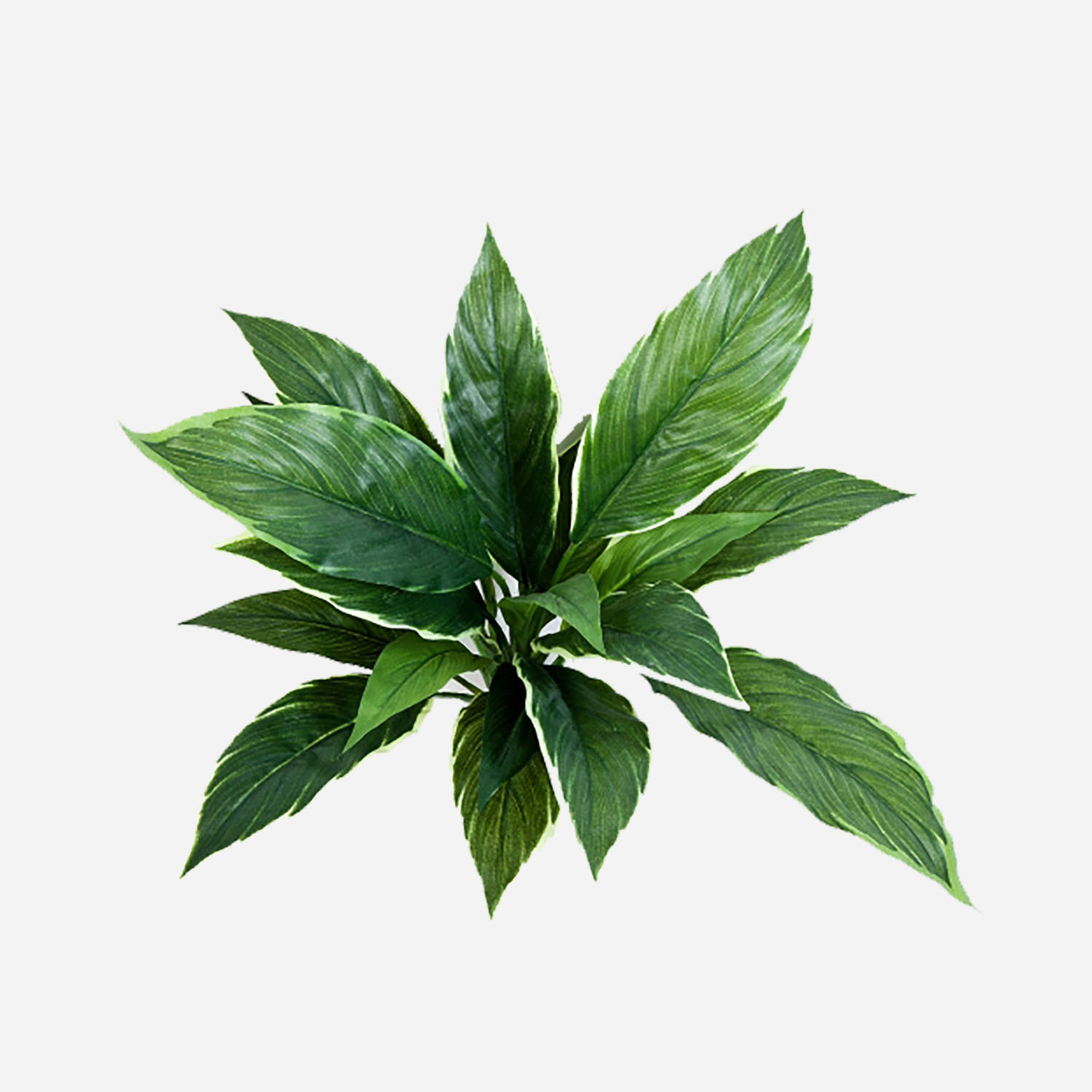 FloraWorks Kunstplant steker Cordyline groenwit (30 cm)