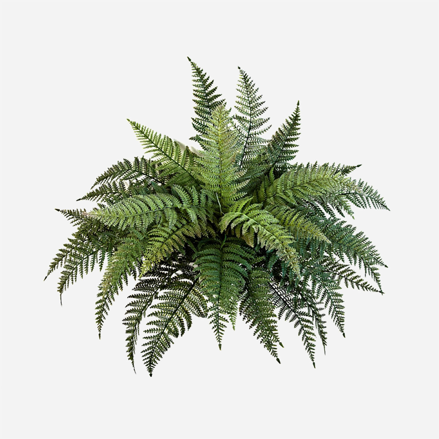 FloraWorks Kunstplant steker Varen (70 cm)