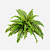 FloraWorks Kunstplant steker Boston Varen (60 cm)