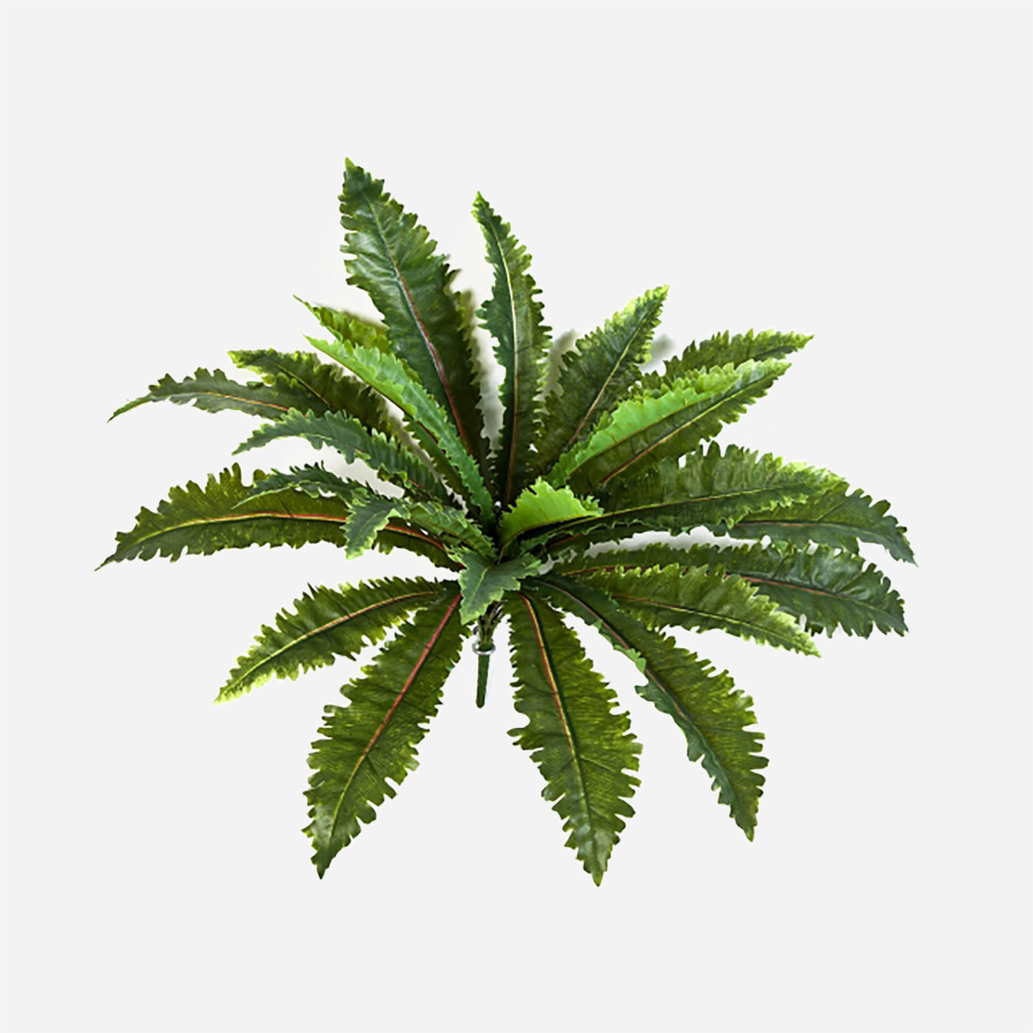 FloraWorks Kunstplant steker Margarintum Varen (70 cm)