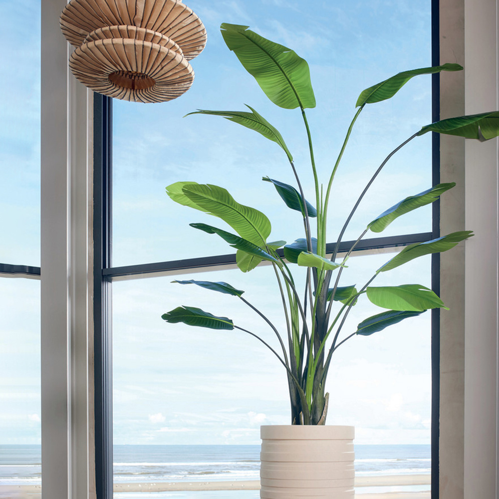Strelitzia kunstplanten