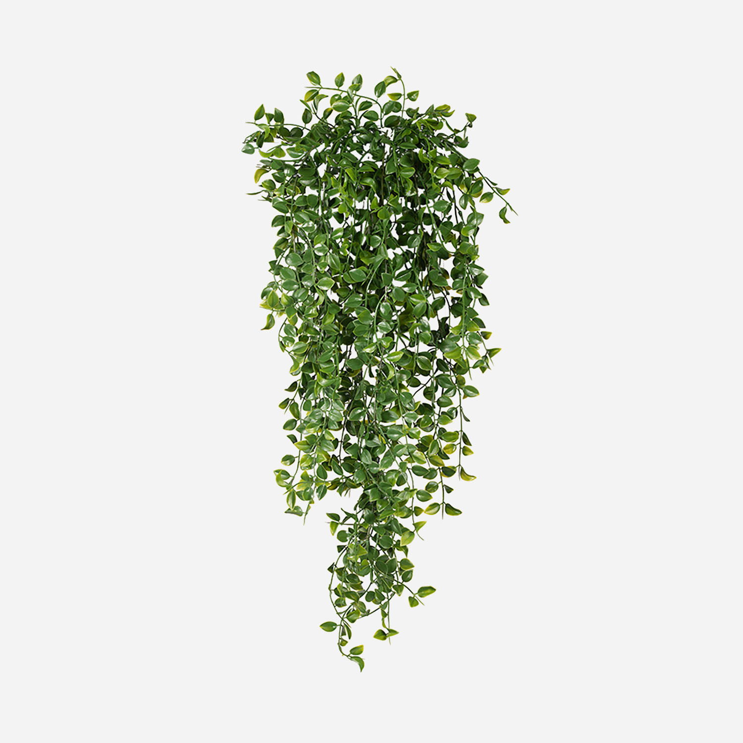 FloraWorks Kunstplant hangend Ficus Pumila (80 cm)