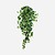 FloraWorks Kunstplant hangend Klimop groenwit (90 cm)