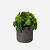 FloraWorks Kunstplant Mini Pilea in pot Charlie antraciet (20 cm)