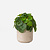 FloraWorks Kunstplant Mini Pilea in pot Charlie lichtgrijs (20 cm)