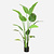 FloraWorks Kunstplant Strelitzia Nicolai (150 cm)