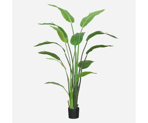 Kunstplant Strelitzia Nicolai (180 cm) - Hoogwaardige kwaliteit - FloraWorks