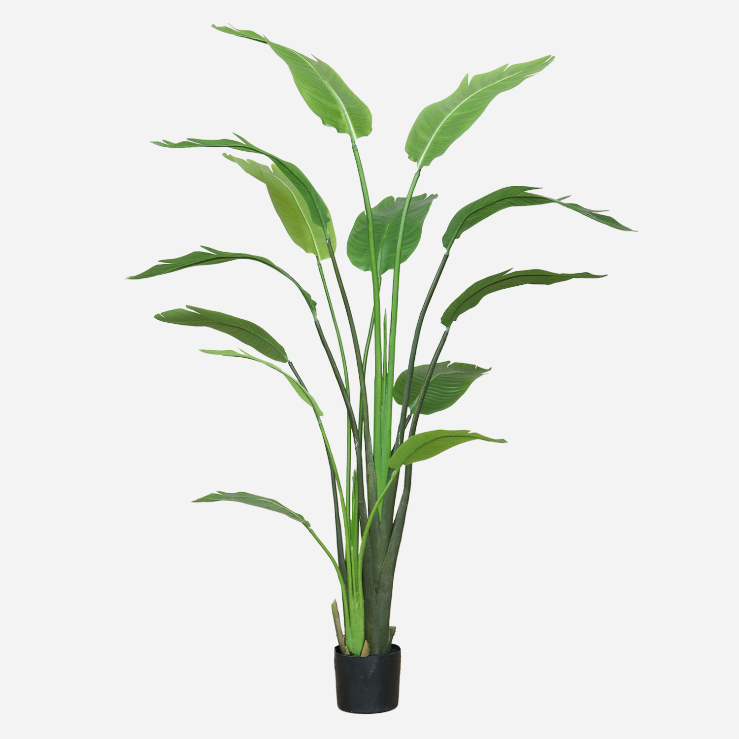 FloraWorks Kunstplant Strelitzia Nicolai (180 cm)