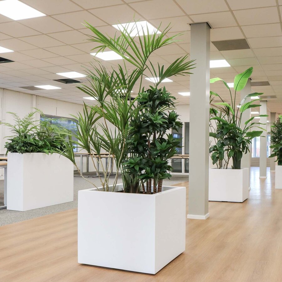 DSG Bouwmaten Vastgoed