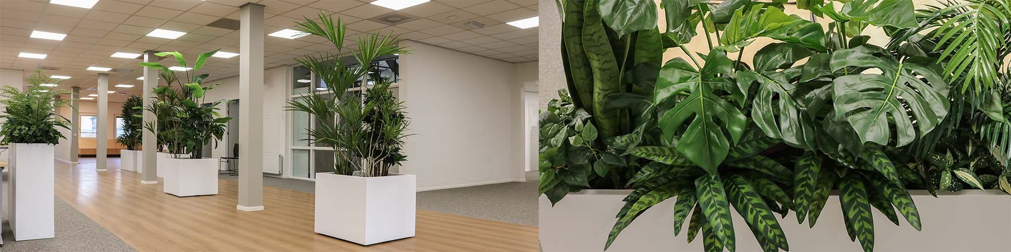 DSG Bouwmaten Vastgoed