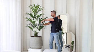 Grote kunstplanten, groots gemak: onze service bij grotere bestellingen