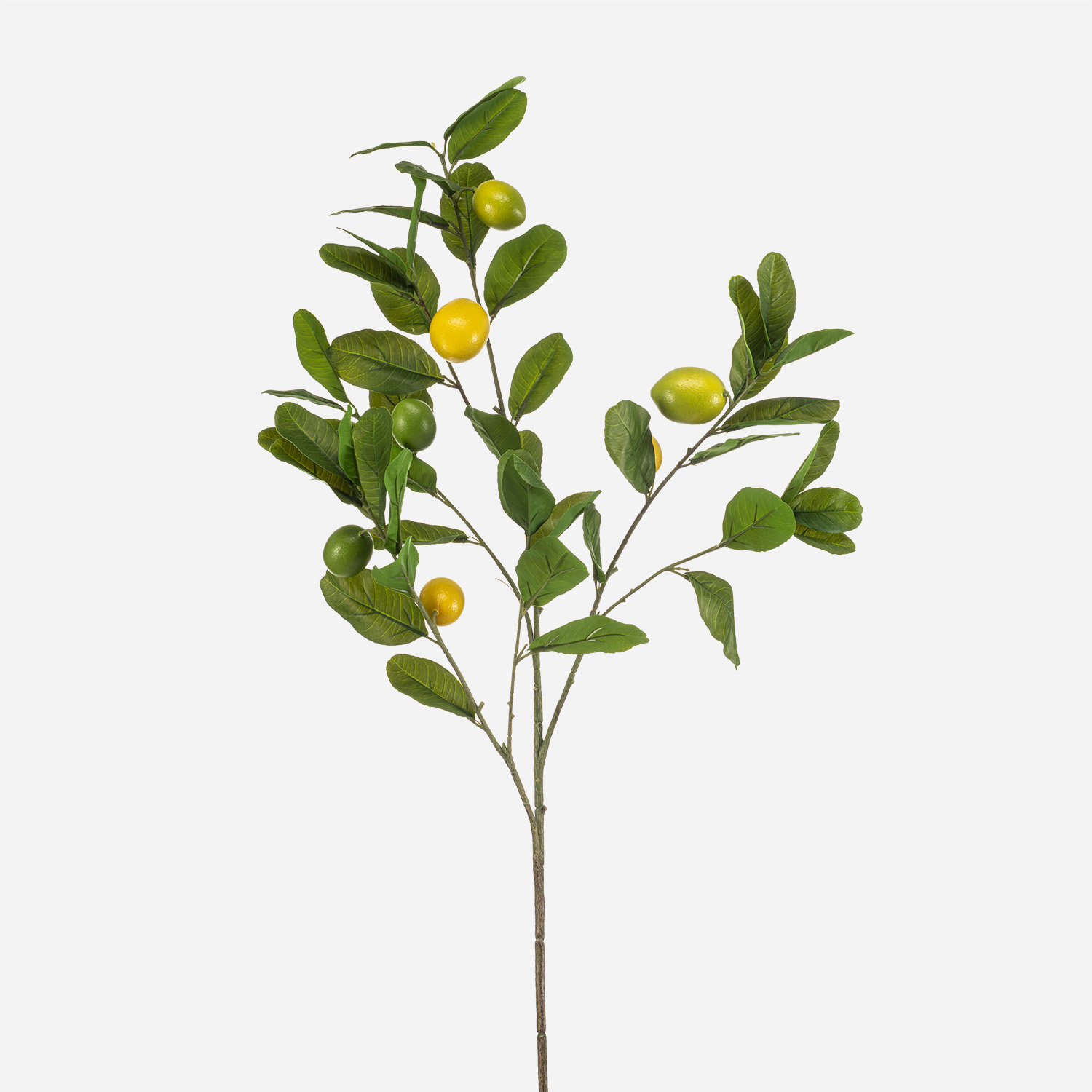 FloraWorks Kunsttak Citroen geelgroen (112 cm)