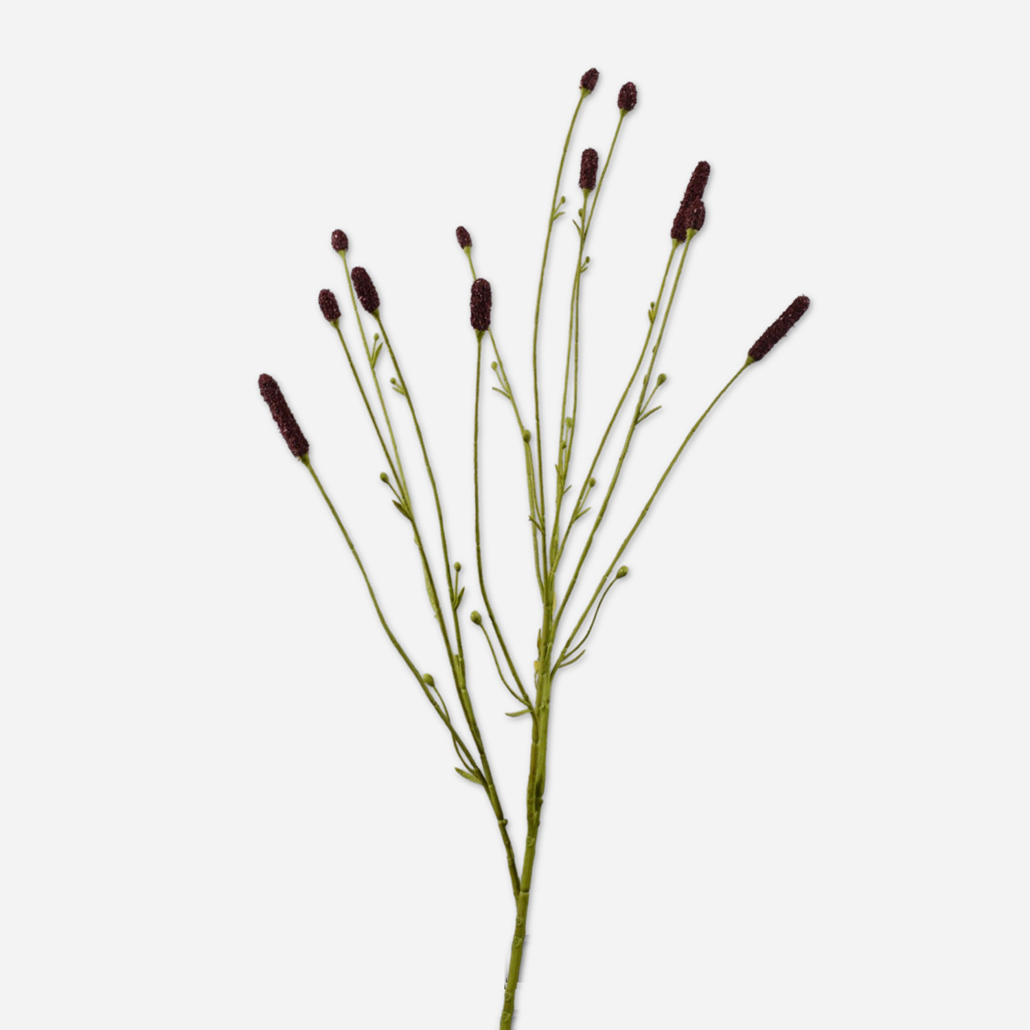 FloraWorks Kunstbloem Pimpernel bruin (84 cm)