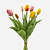 FloraWorks Kunstbloem Tulp bundel rozegeel (40 cm)
