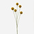 FloraWorks Kunstbloem Craspedia geel (72 cm)