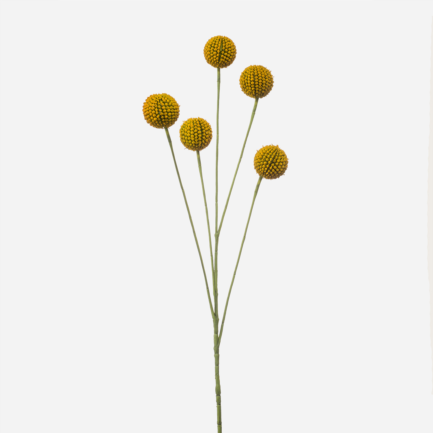 FloraWorks Kunstbloem Craspedia geel (72 cm)