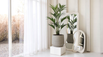 Hoe onze kunstplanten tot leven komen in daglichtstudio Loodz Mosa