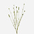 FloraWorks Kunstbloem Pimpernel groen (84 cm)