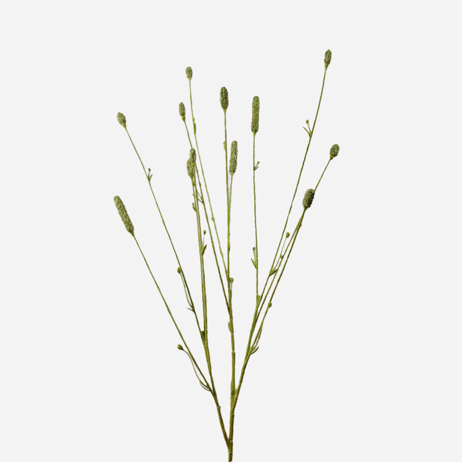 FloraWorks Kunstbloem Pimpernel groen (84 cm)